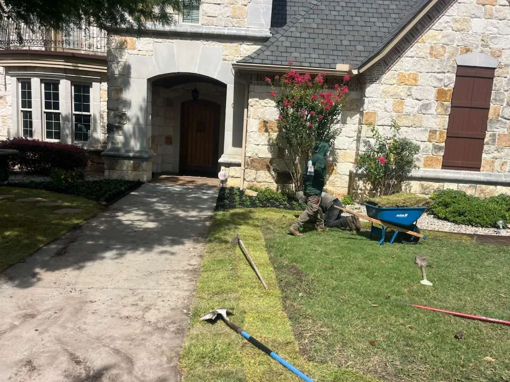 Fresh Sod Installation